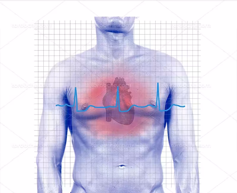 عکس ضربان قلب | گرافیک با طعم تربچه