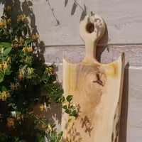 تخته گوشت بزرگ