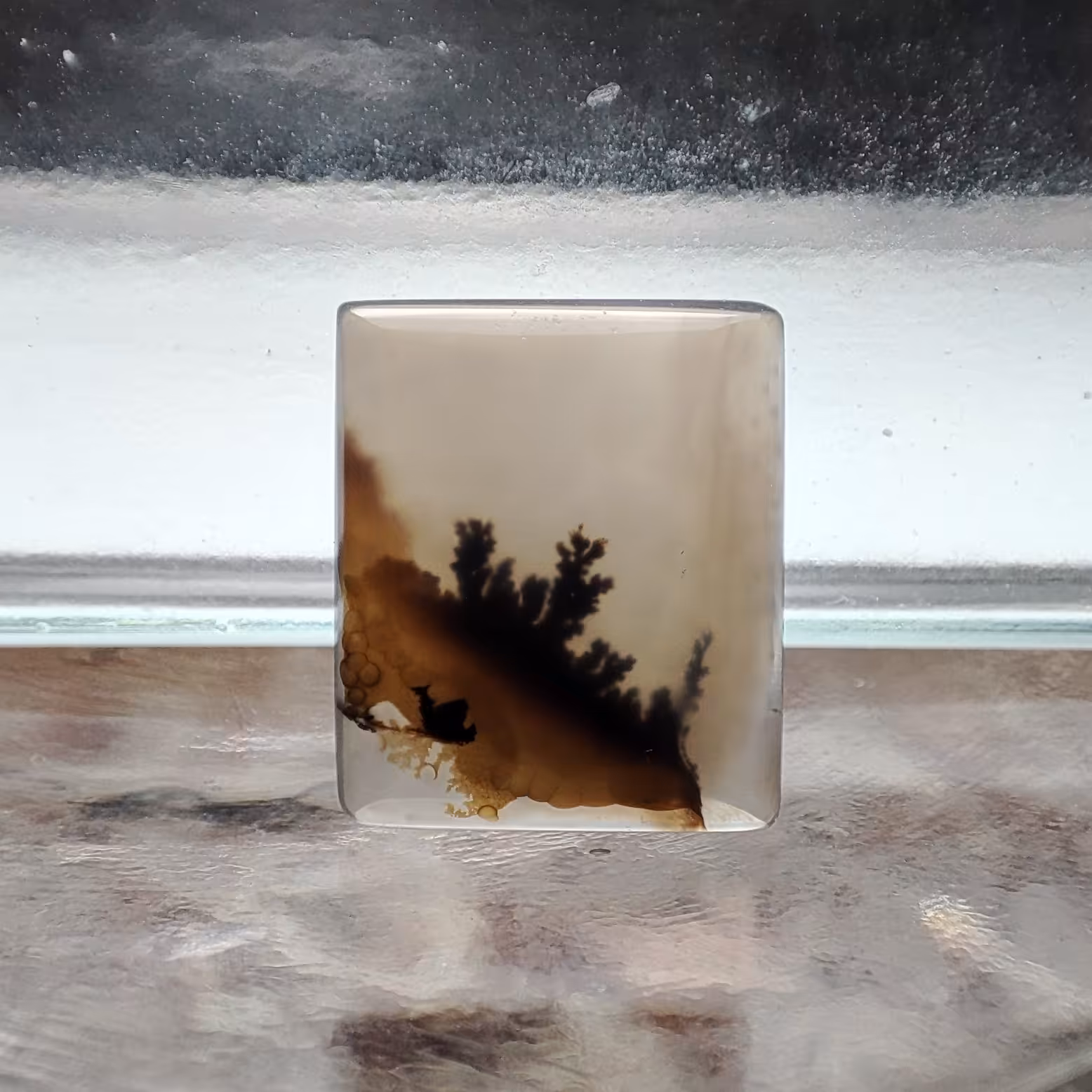 شجر قائن طبیعی و معدنی کد 582