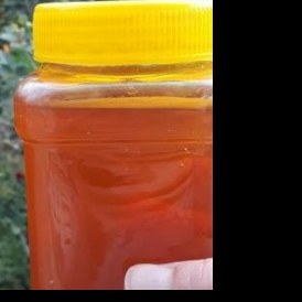 عسل طبیعی کوهستان از گل های گون دامنه کوه های طبیعت بکر خلخال با ساکارز 15درصد