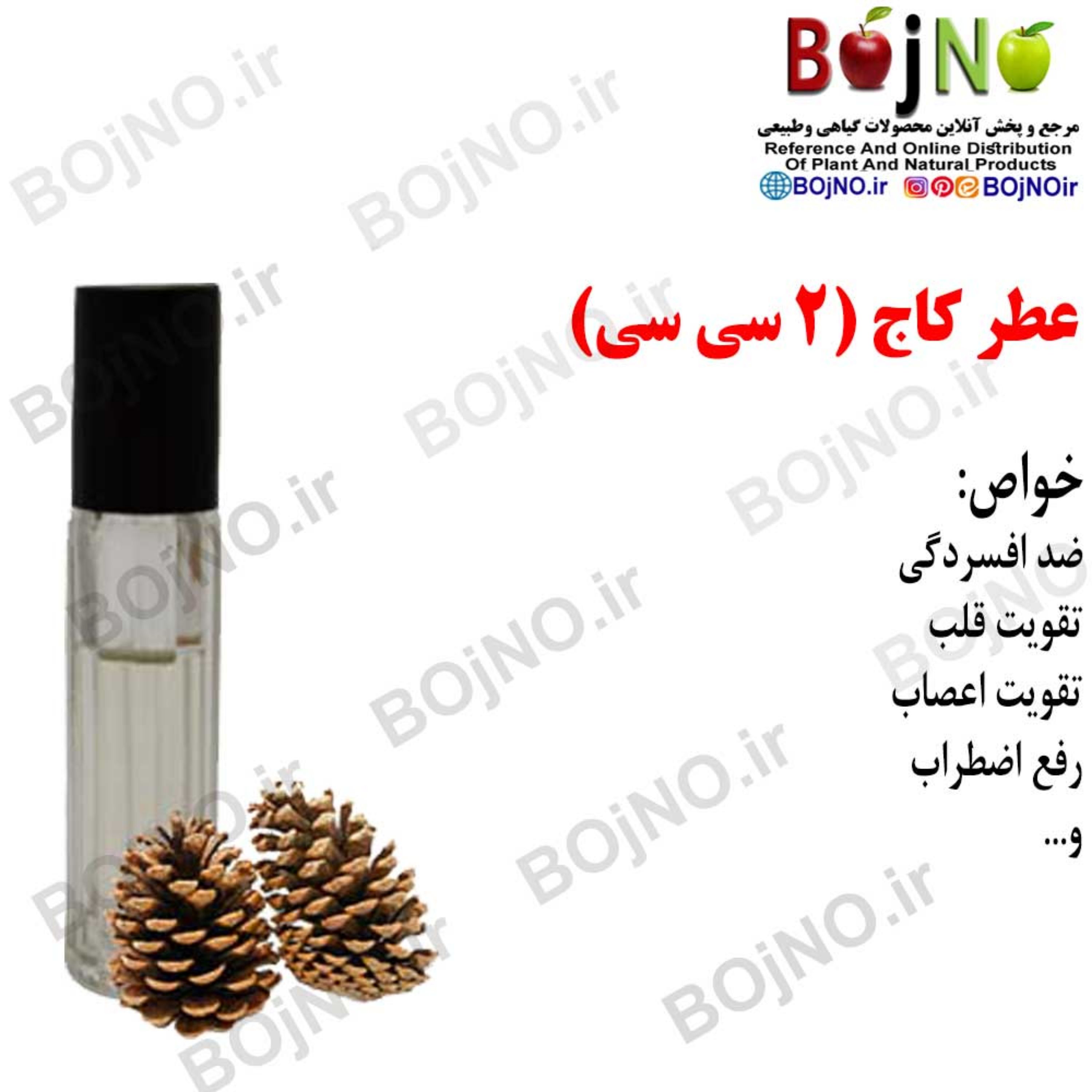 عطر کاج (2سی سی)