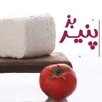 پنیر بز یک کیلویی