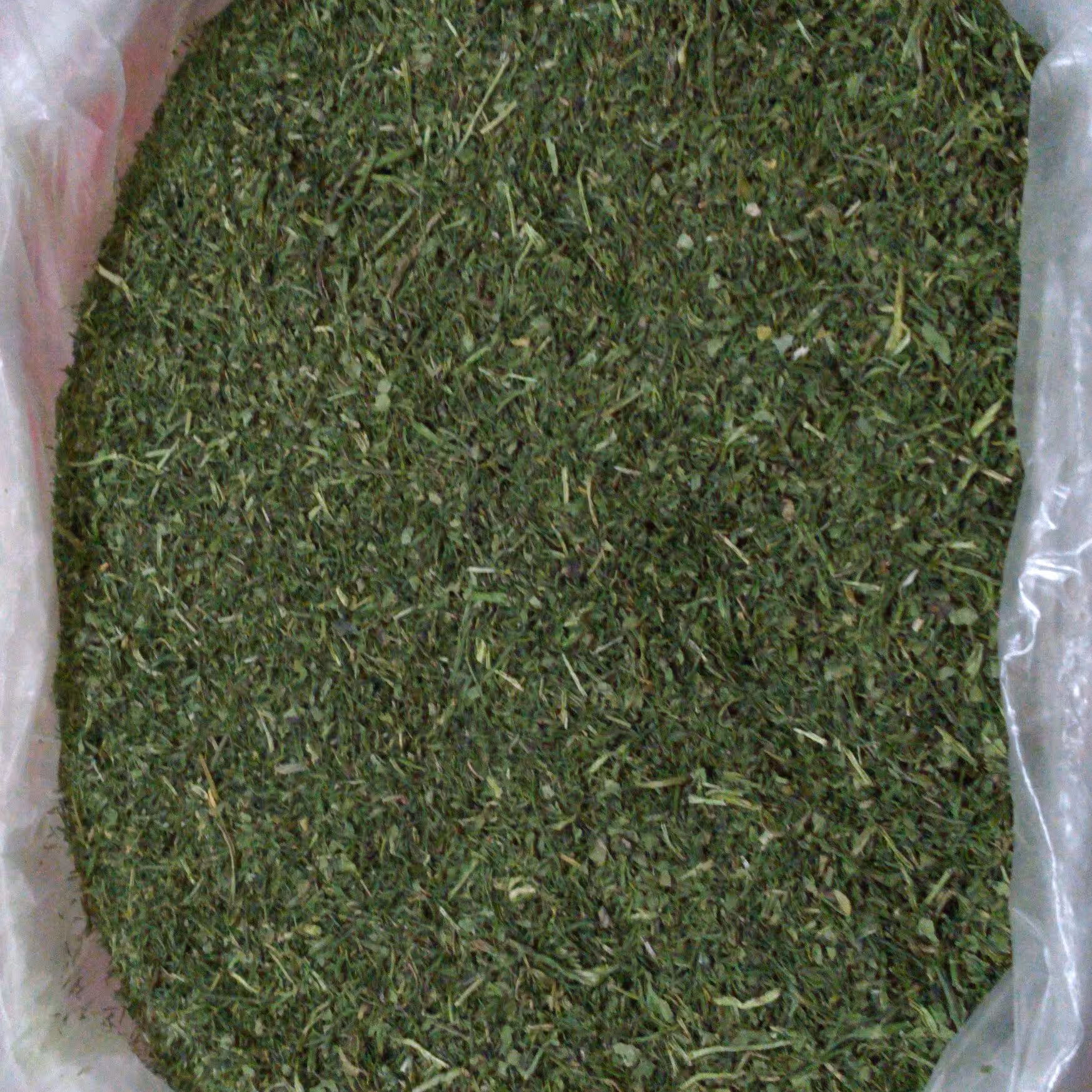 جعفری خشک خانگی امسالی تمیز بدون خاک با عطری فوق العاده ( ضمانت دار)