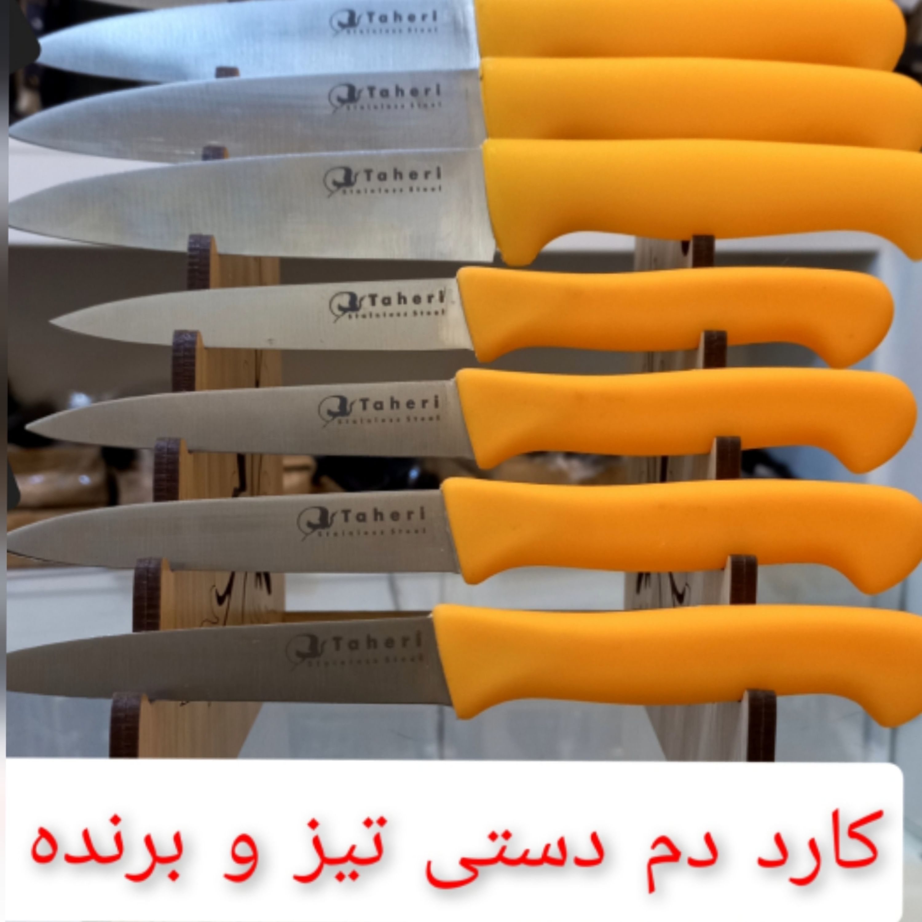 چاقوی دم دستی تیز و برنده در دوسایز 19سانت و22سانت