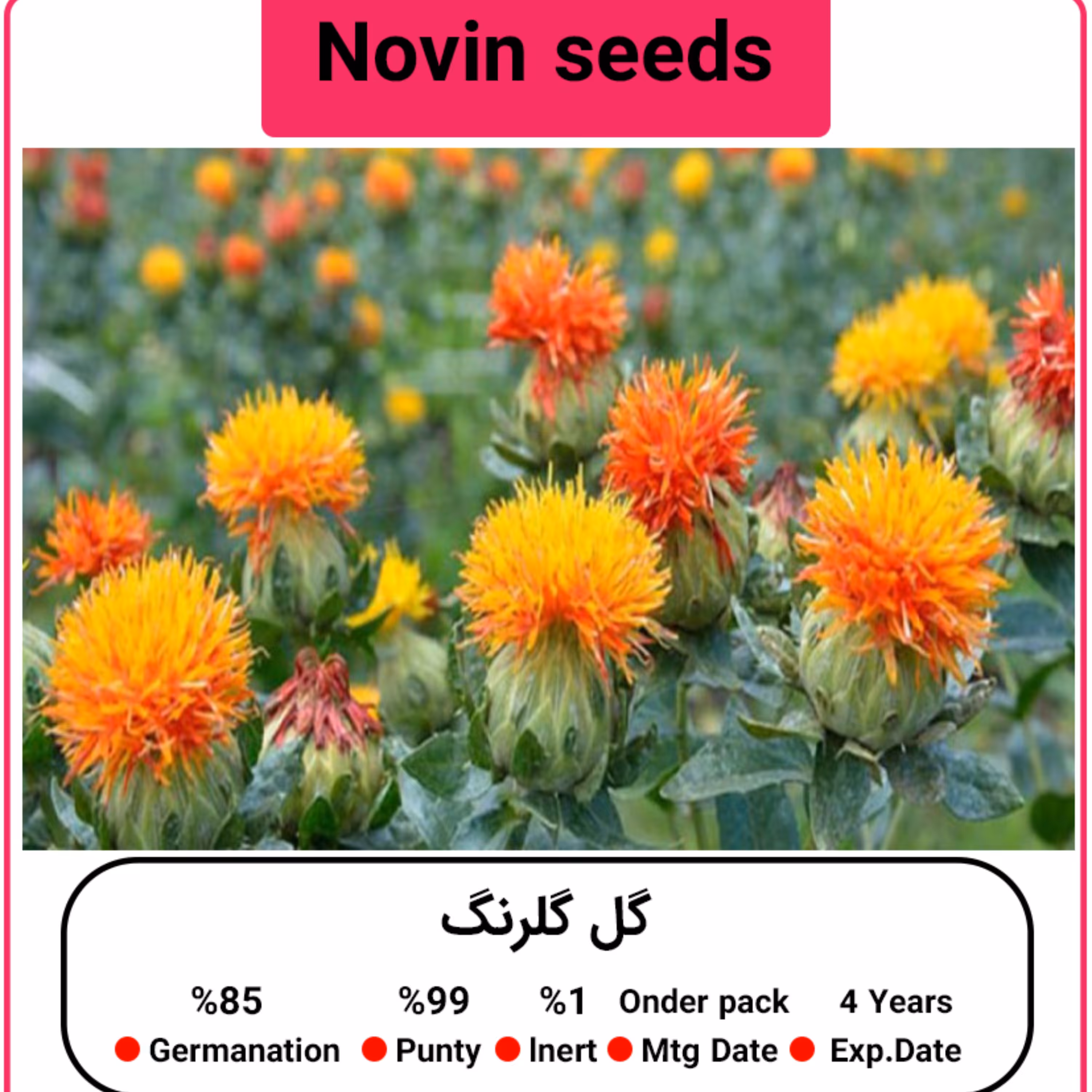 بذر گل گلرنگ 100 گرمی