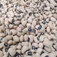 لوبیا چشم بلبلی 500 گرمی تازه و امسالی 