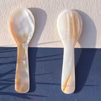 قاشق صدفی 7 سانتی