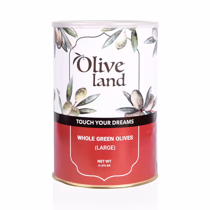 کنسرو زیتون سبز درشت ( قوطی)