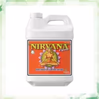 کود ادونس Nirvana