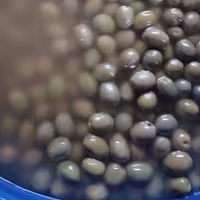 زیتون شور 3کیلویی 