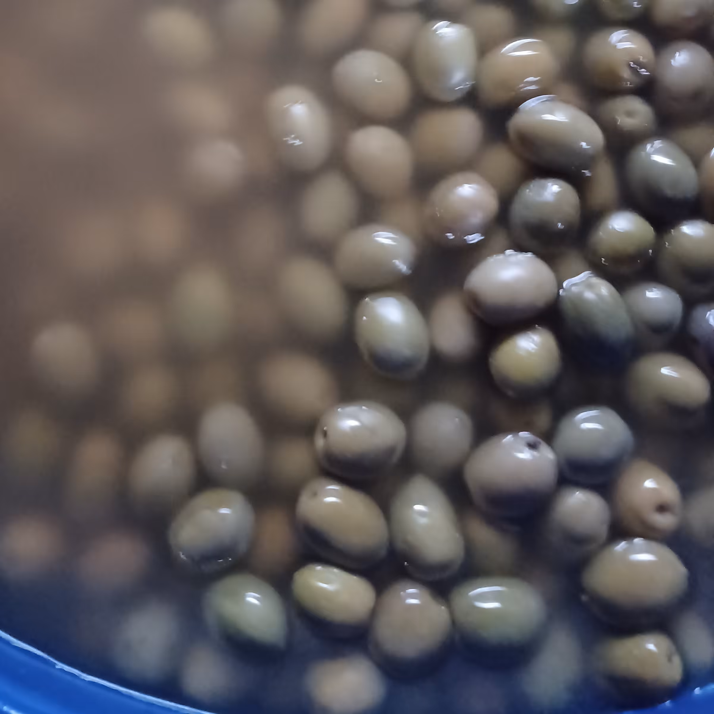 زیتون شور 3کیلویی 