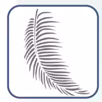 شابلون طرح برگ سوزنی کد 477سایز 40 در 60 