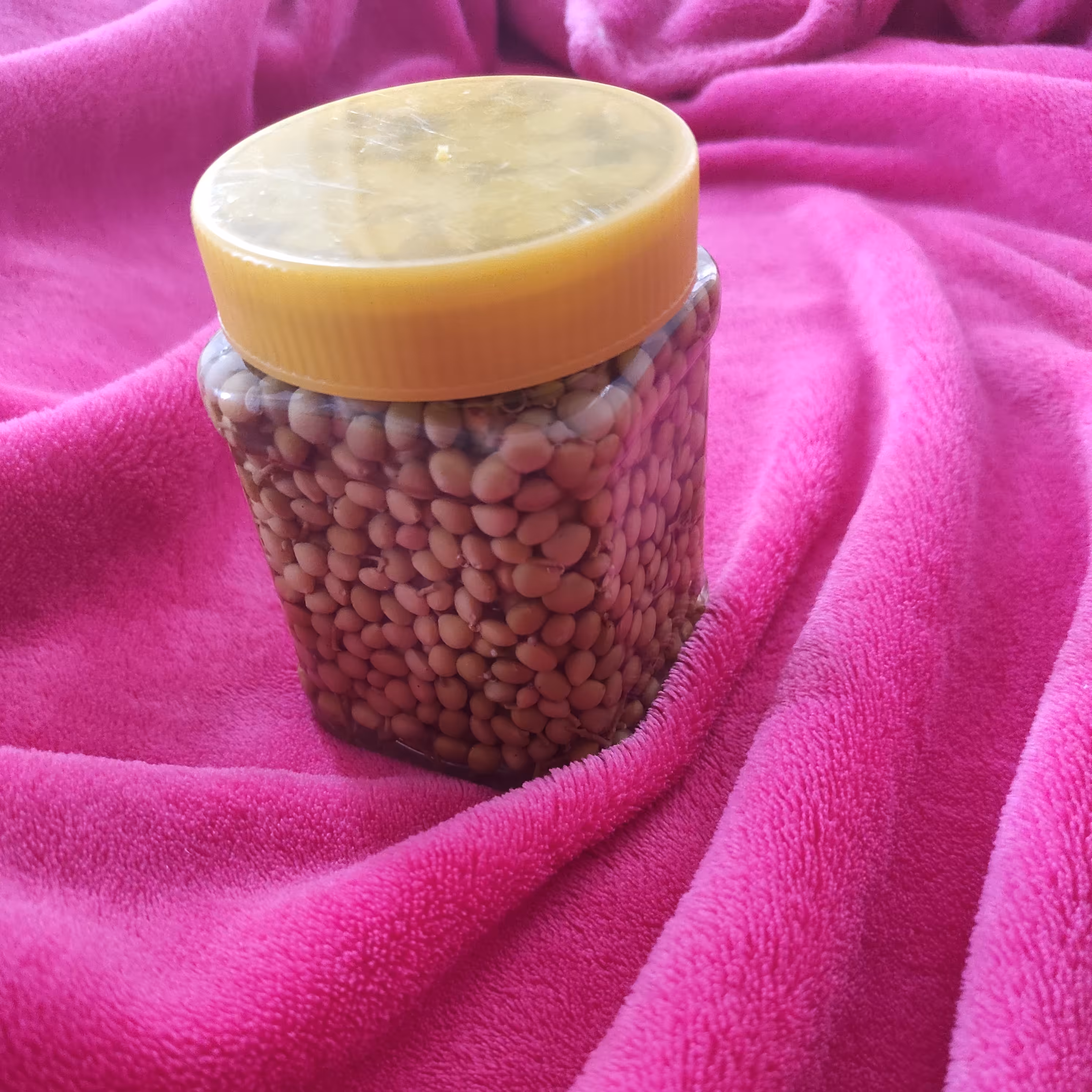 ترشی بنه یک کیلویی