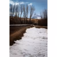 تابلو شاسی کد benpics-0099 (ابعاد 60x90 - شاسی 8 میل-کاغذ سیلک-اصالت تصویر)