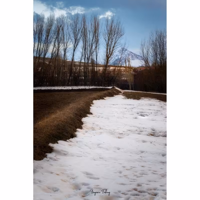 تابلو شاسی کد benpics-0099 (ابعاد 60x90 - شاسی 8 میل-کاغذ سیلک-اصالت تصویر)