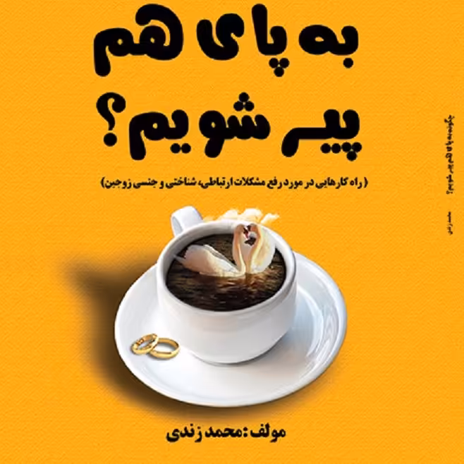 کتاب سیستم چگونه به پای هم پیر شویم-تالیف - محمد زندی دره غریبی
