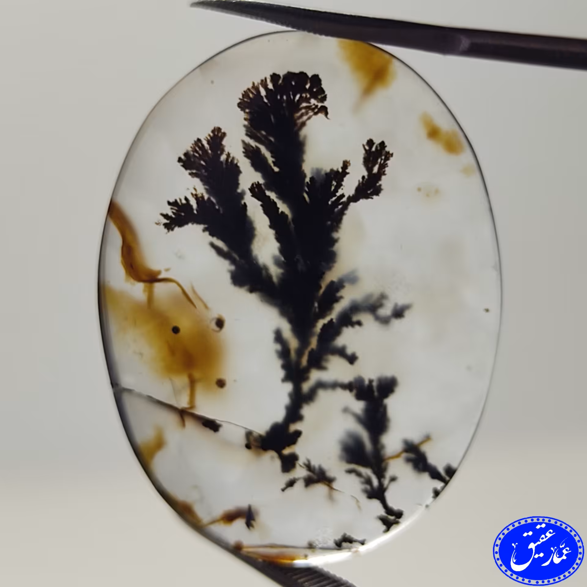 نگین عقیق شجر طبع شیشه ای خالص مشابه شجر کواتز