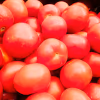 رب گوجه فرنگی خانگی و بهداشتی می باشد 