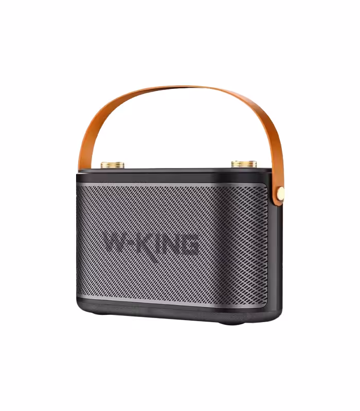 اسپیکر بلوتوثی قابل حمل دبلیو کینگ مدل T10