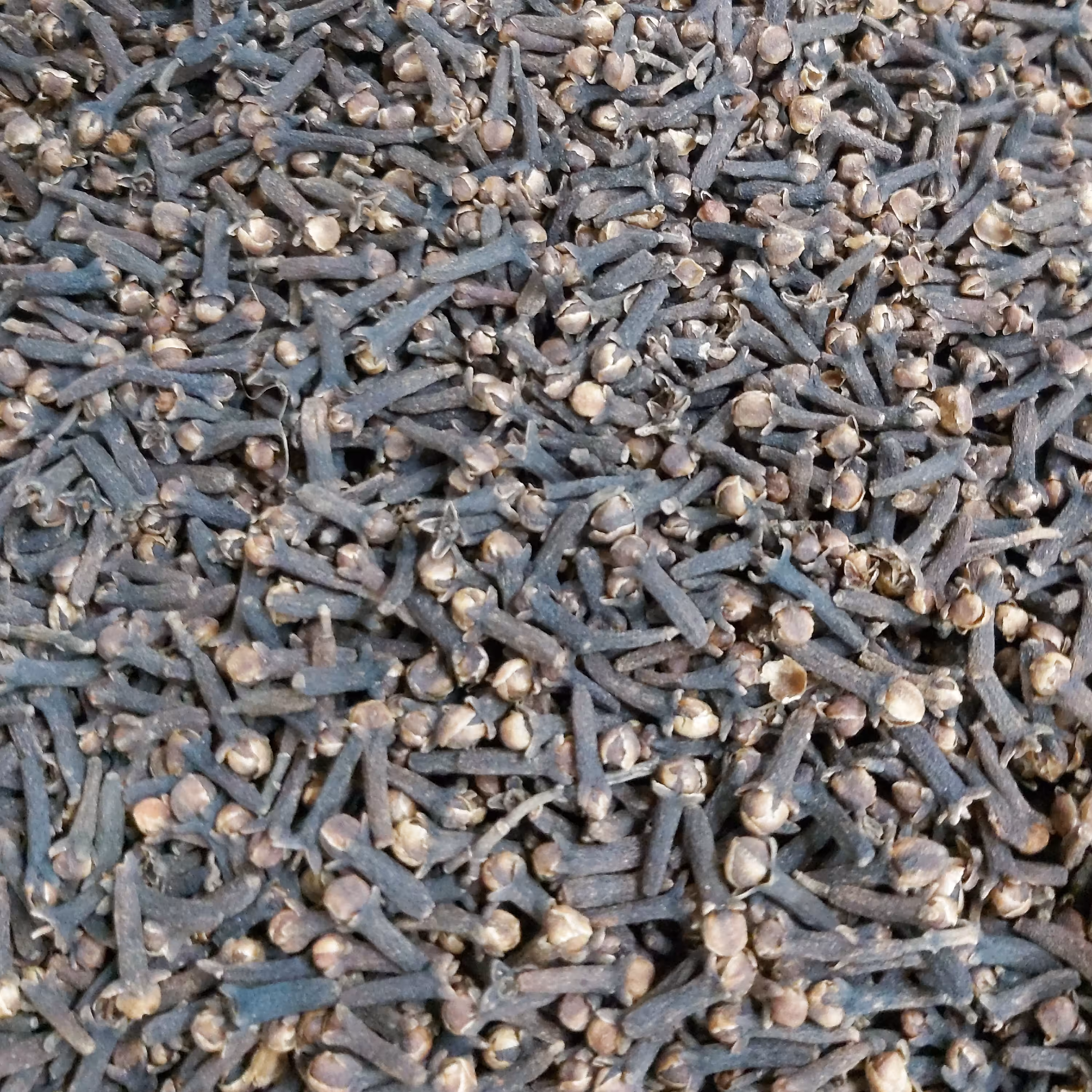 میخک یکدست و تمیز (100گرم )