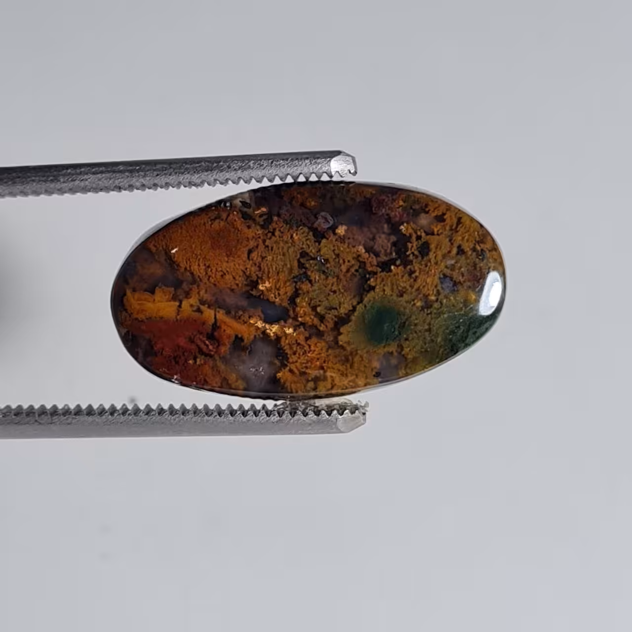 نگین بیضی عقیق شجر پاییزی 5779