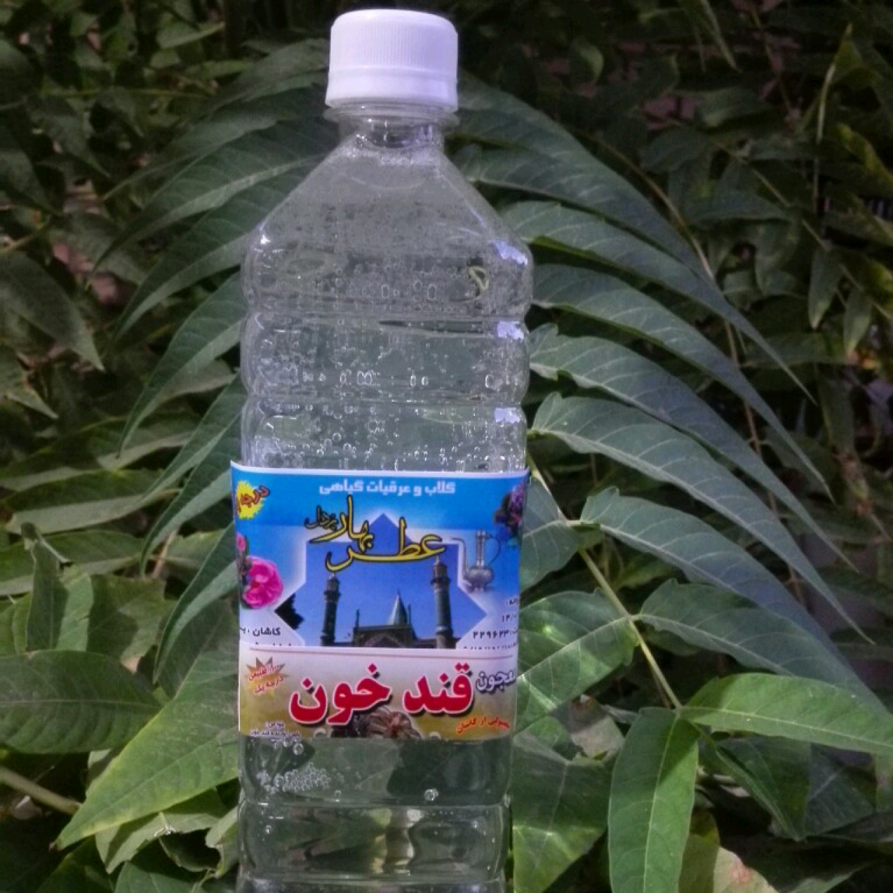 معجون قند خون