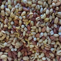 آجیل 4 مغز شور اعلا 500 گرم