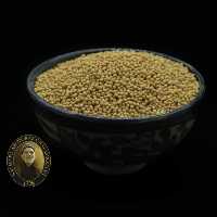 دانه خردل زرد 100 گرمی حاج ابوتراب