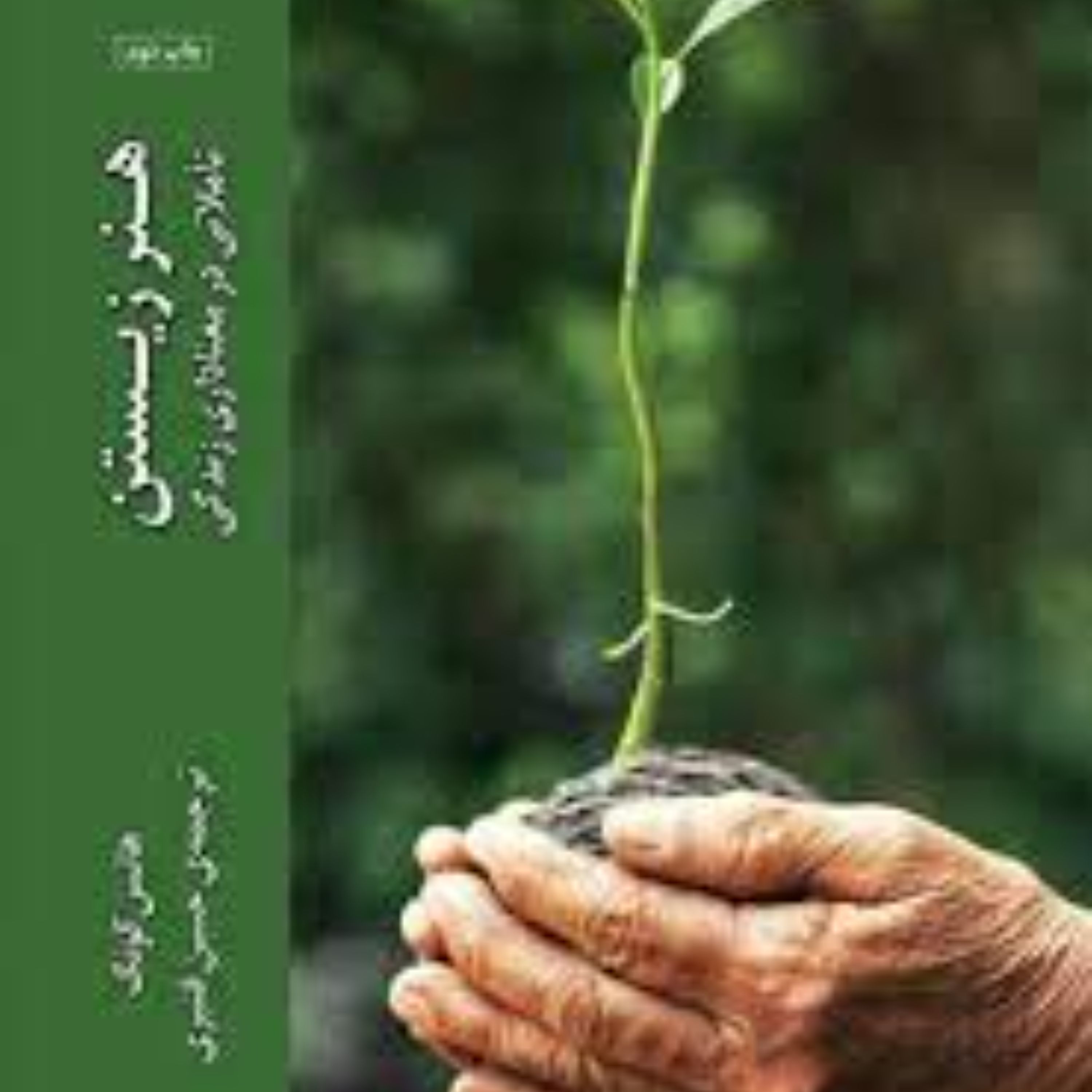 هنر زیستن  تاملاتی در معناداری زندگی