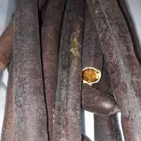 فلوس 10 گرمی