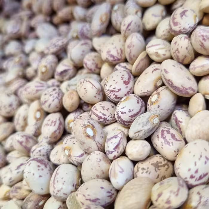 بهترین قیمت لوبیا چیتی یک کیلو خوش پخت با بهترین کیفیت