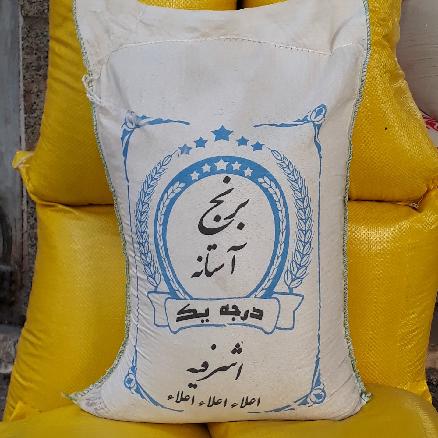 برنج هاشمی آستانه اشرفیه