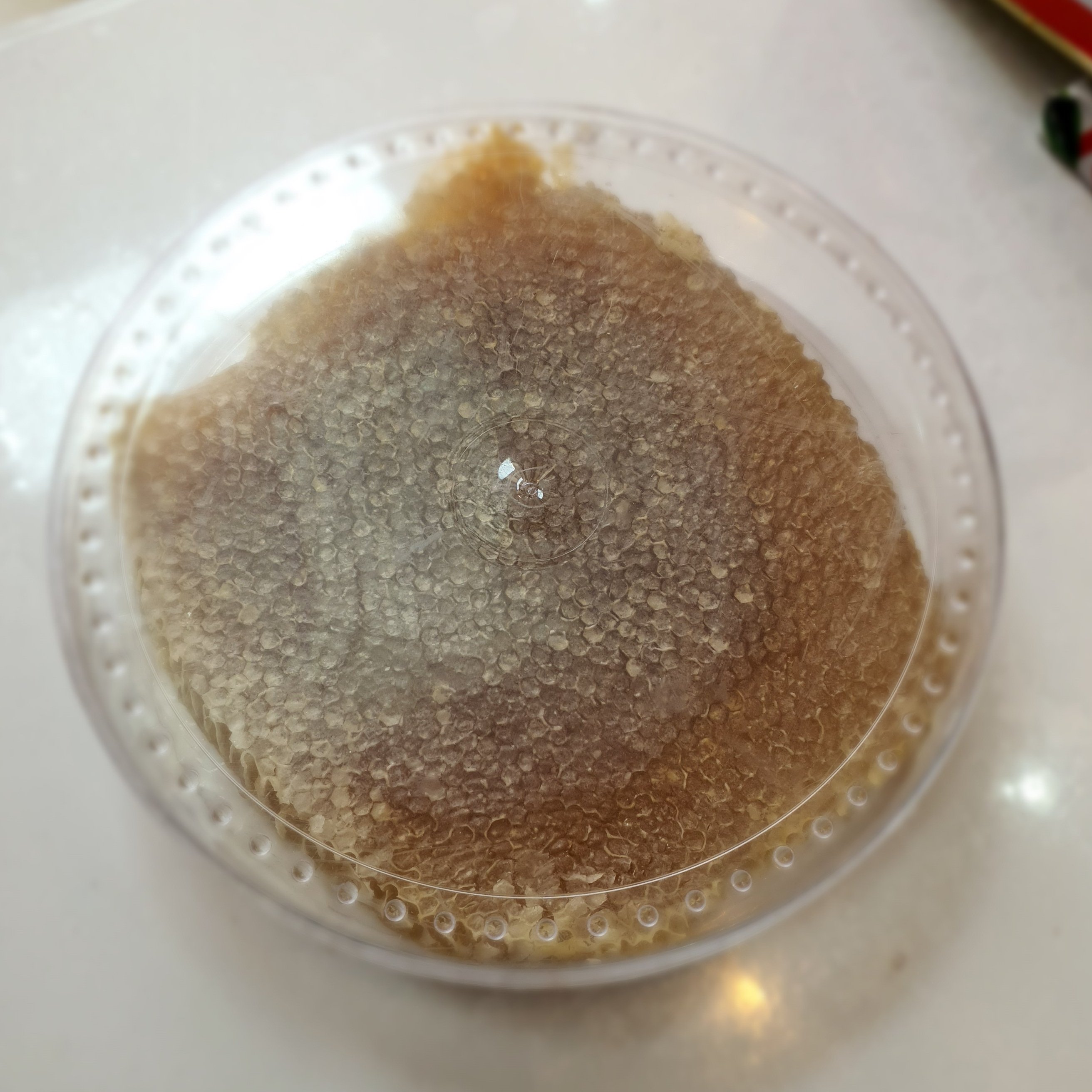 عسل ارگانیک با موم از گلهای کوهستان - ظرف پلاستیکی - 2 کیلویی
