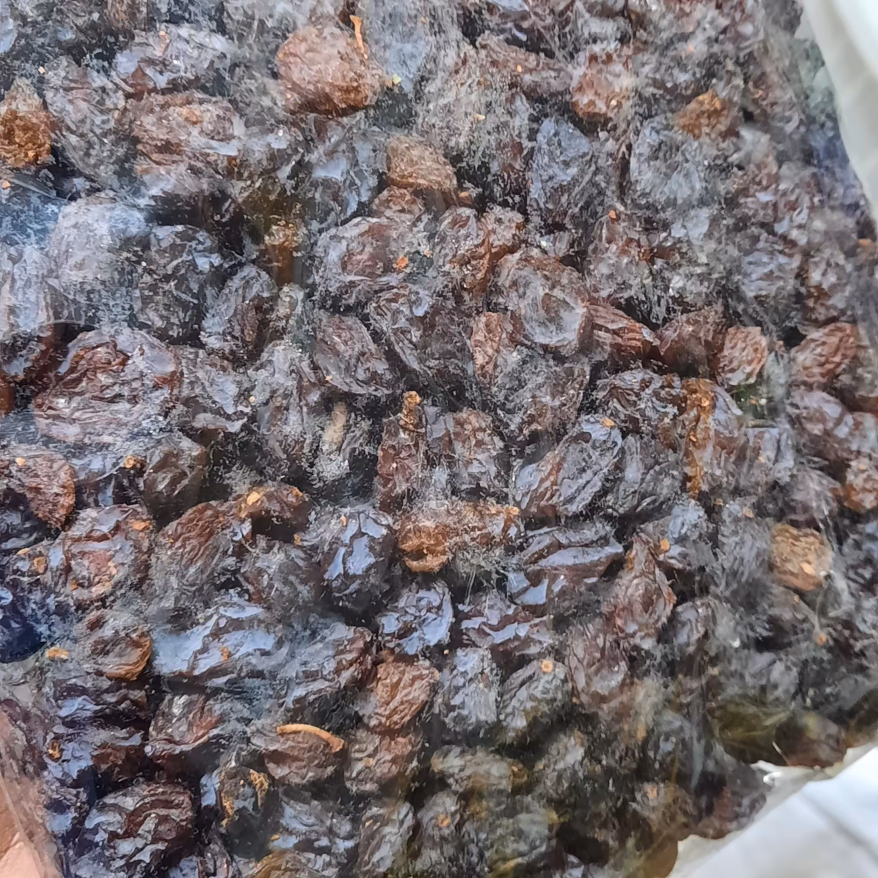 مویزسیاه دانه دار450گرمی