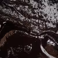 رب میوه ملس (850گرمی)