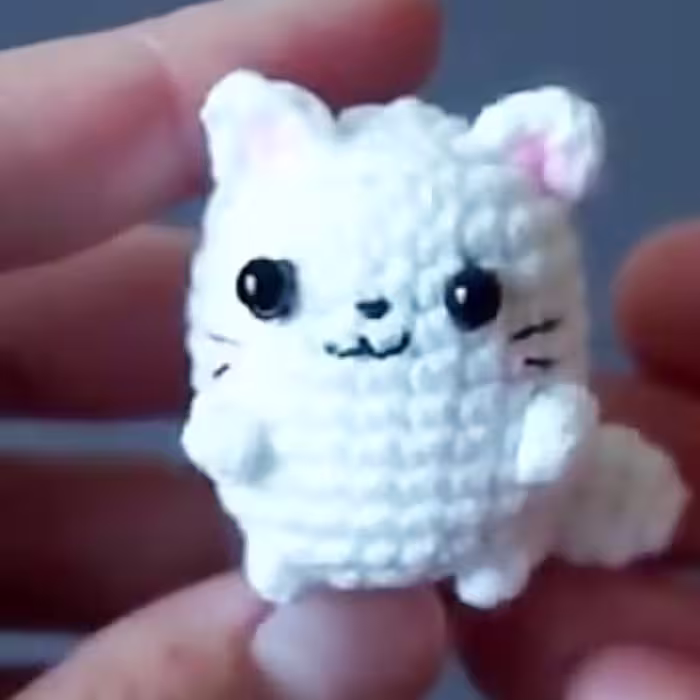 گربه کوچولو بافت