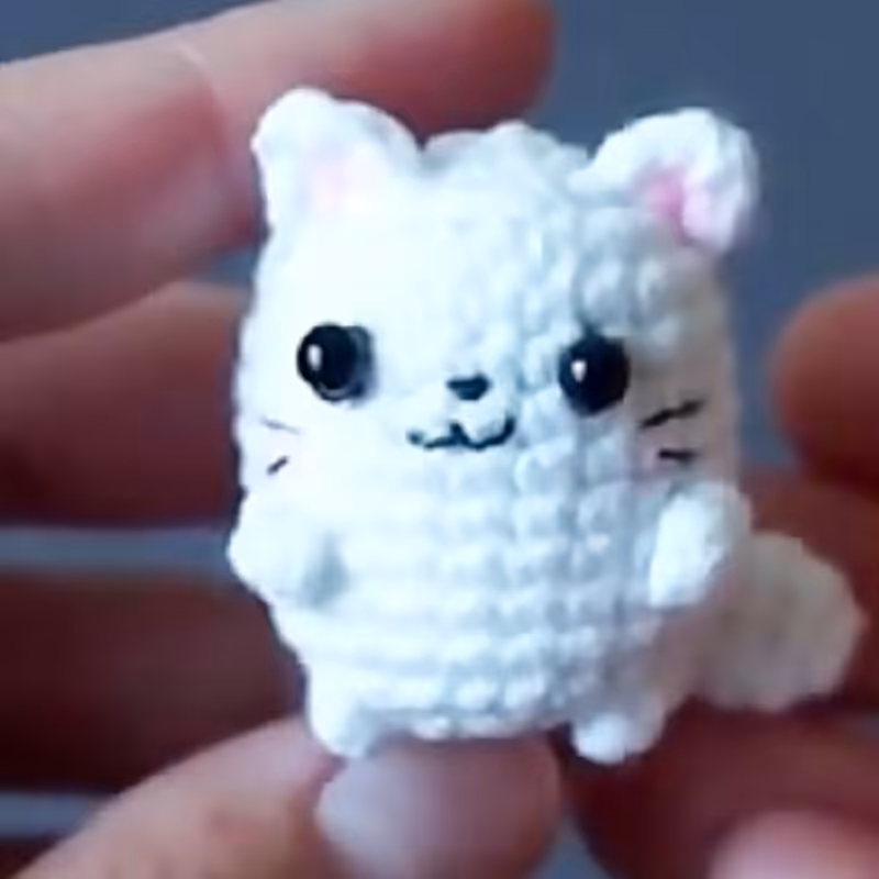 گربه کوچولو بافت