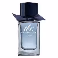 ادو تویلت مردانه BURBERRY Mr. Burberry Indigo حجم 100 میلی لیتر