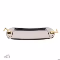 سینی استیل ام جی اس کد 4110