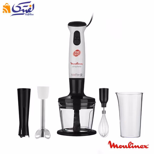 گوشت کوب برقی DD8661 مولینکس 700 وات