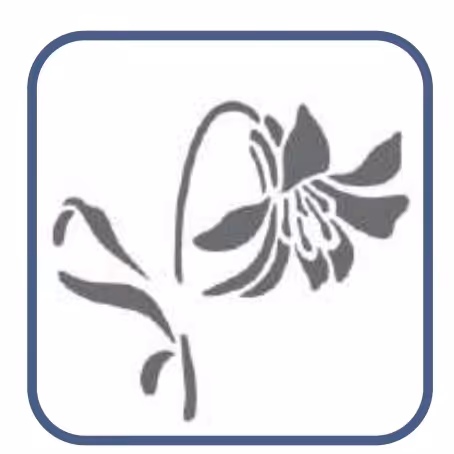 شابلون طرح گل کد 20 سایز 20 در 30