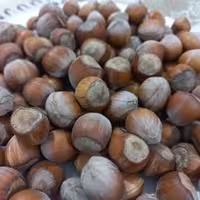 فندق درشت و تازه امساله 1 کیلویی 