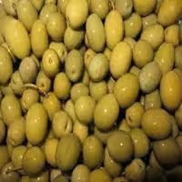 زیتون  شکسته و کنسروی رودبار با تخفیف استثنایی