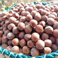 فندق ایرانی اشکورات بسته های یک کیلویی و ...