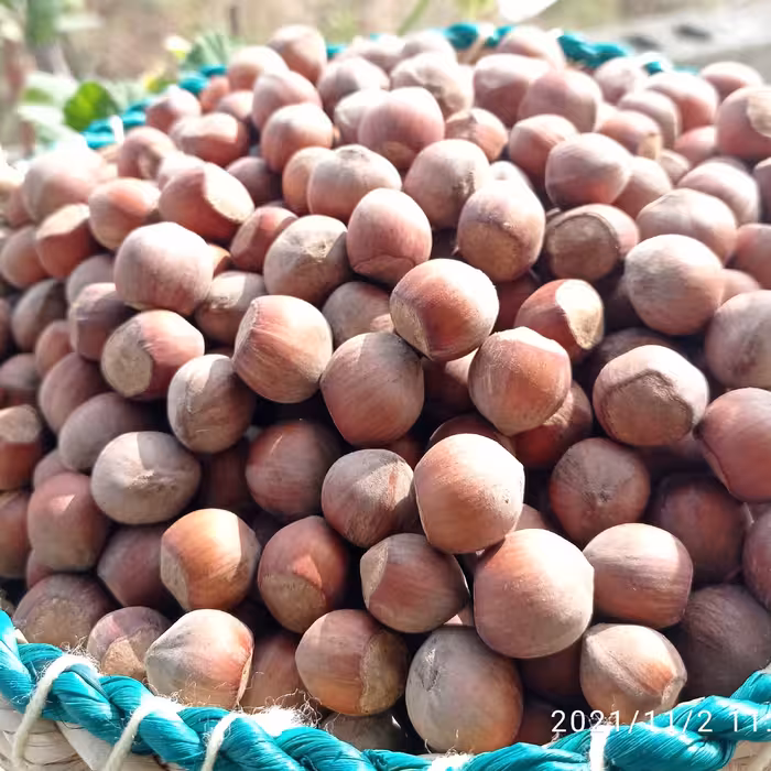 فندق ایرانی اشکورات بسته های یک کیلویی و ...