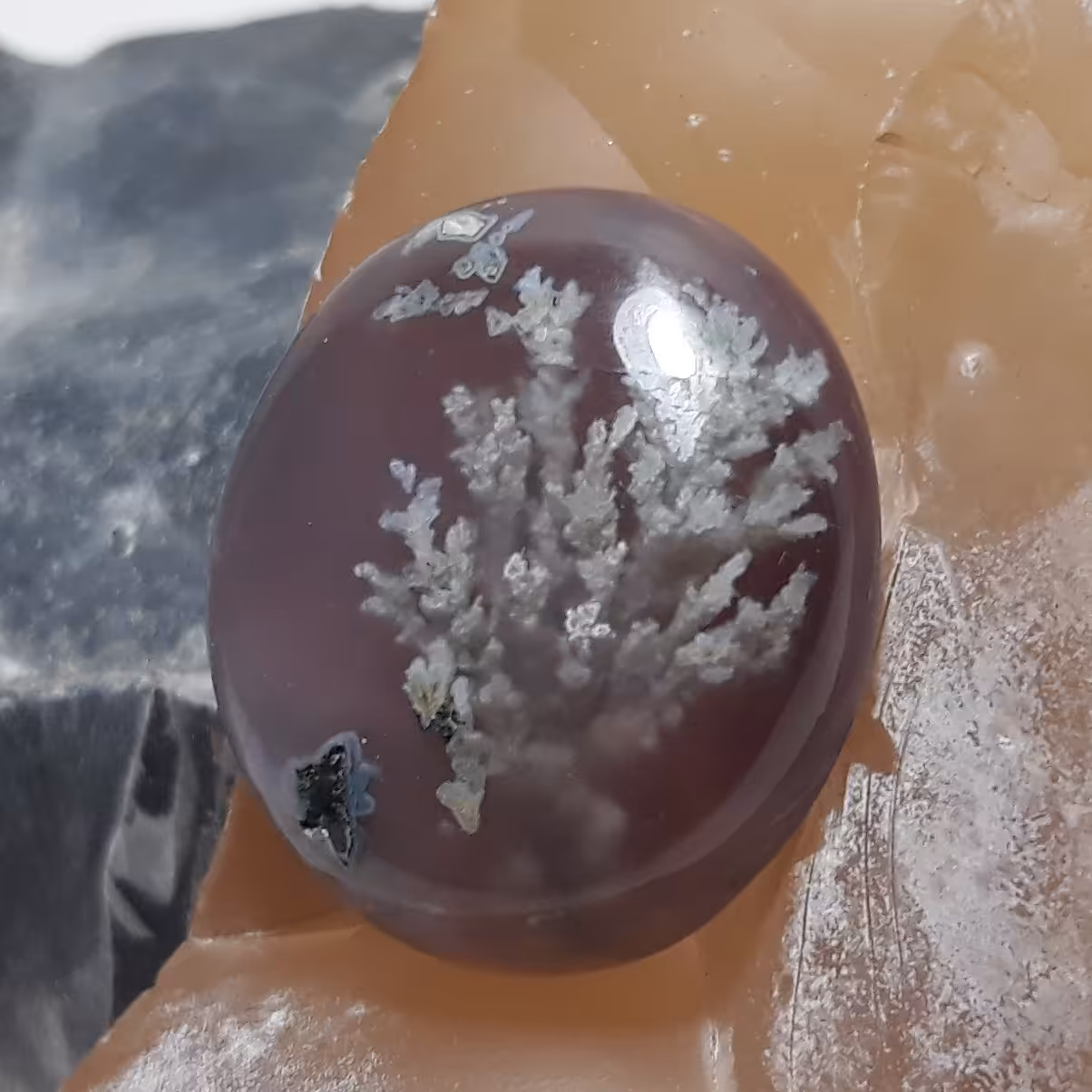 عقیق شجر طبیعی