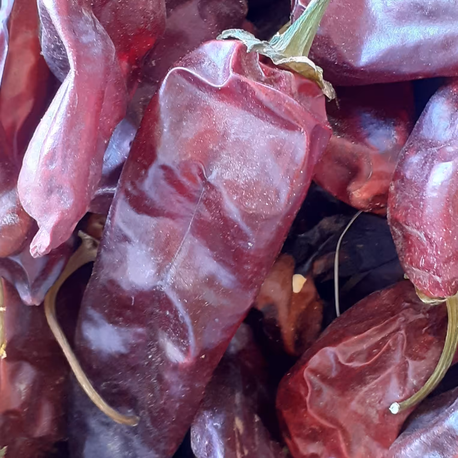 فلفل قرمز خشک شده با دستگاه خیلی تند سایز ددشت رنگ قرمز عنابی