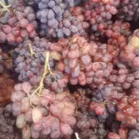 شیره انگور قرمز  زرد و سیاه مخلوط 2 کیلو دوشاب ارومیه 1402