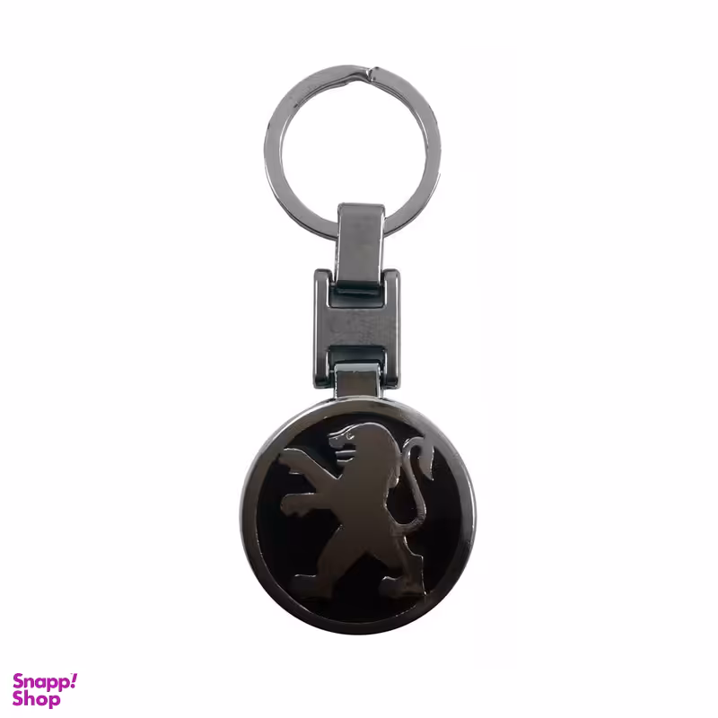 جاسوئیچی خودرو مدل Peugeot