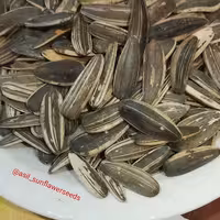 تخمه لیمویی بیجار